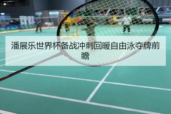 潘展乐世界杯备战冲刺回暖自由泳夺牌前瞻